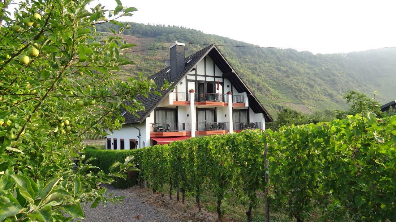 Haus Weingarten Appartements-Zimmer Ernst Habitación foto